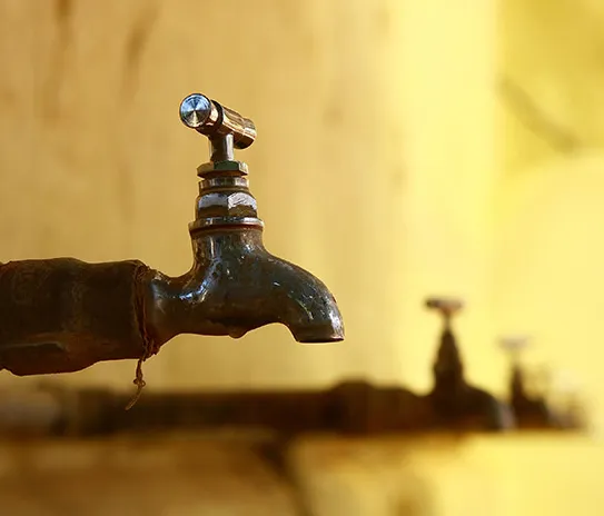 Slide of Mr Root Out