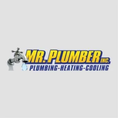Slide of Mr.Plumber