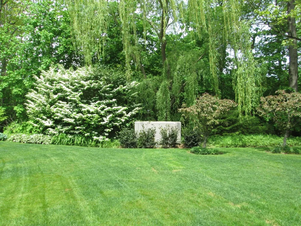 Slide of MTS Power Systems