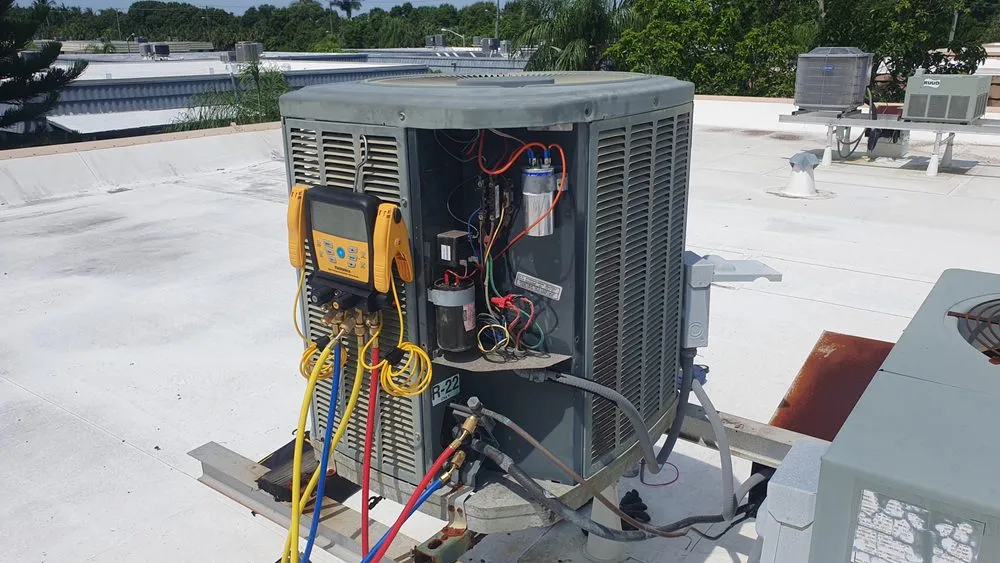 Slide of Mubscleaning