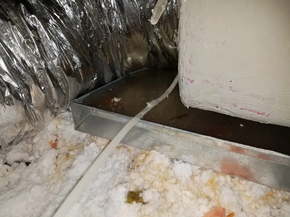 Slide of Mulch Blowers of Florida