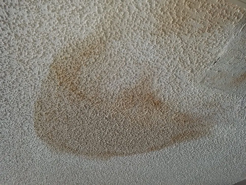 Slide of Mulch Blowers of Florida