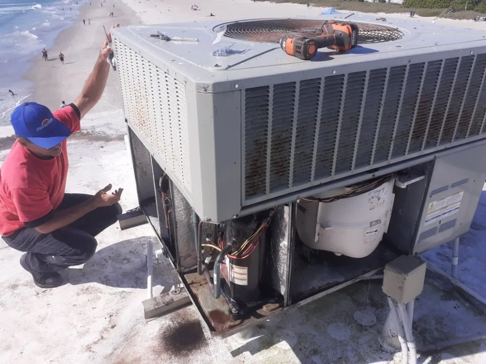 Slide of Multiservices DG