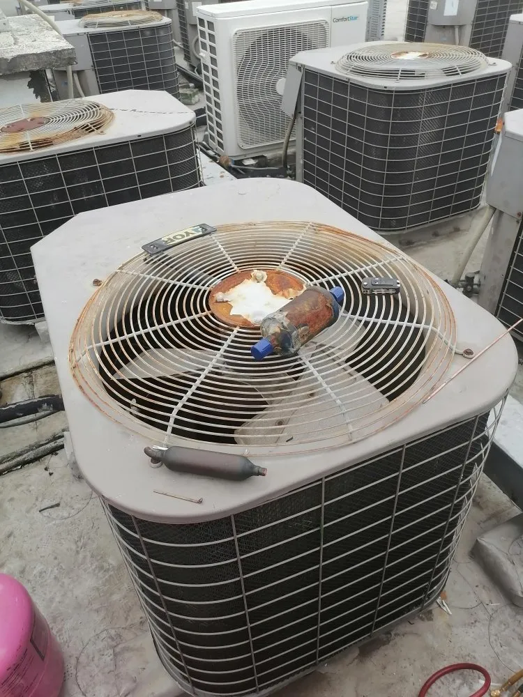 Slide of Multiservices DG