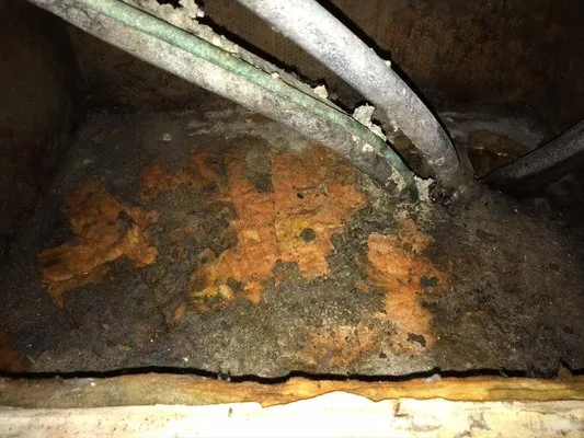 Murphy Air Duct Cleaning & Dryer Vent Cleaning Services