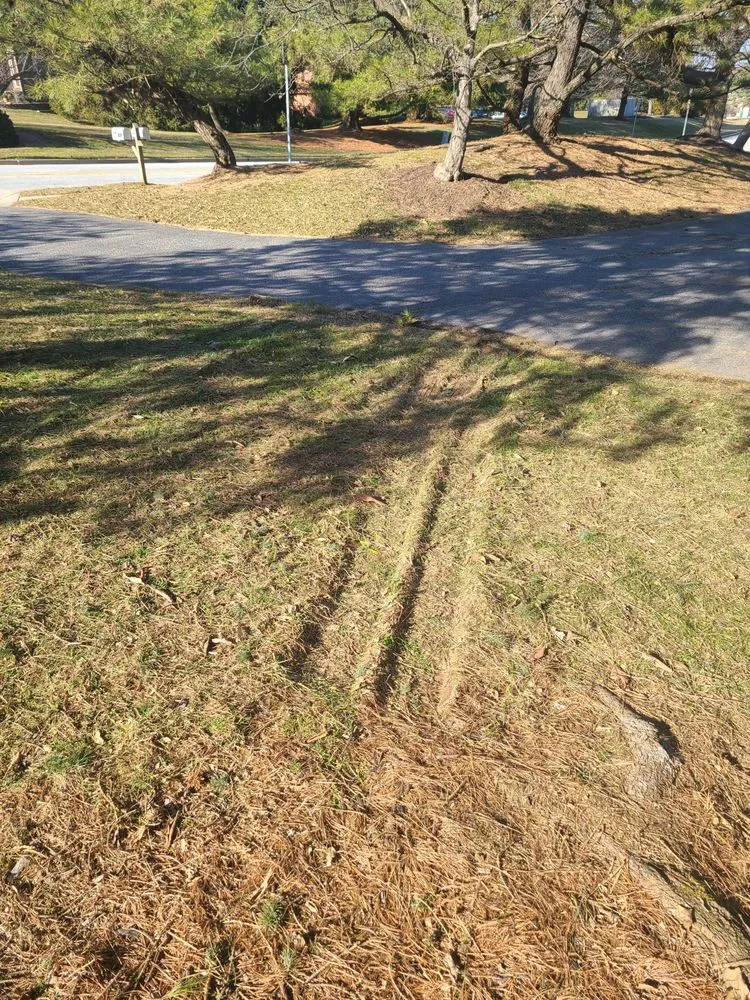 Slide of Murray's Plumbing and Heating