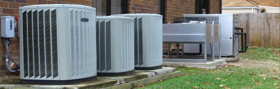 Slide of Muse Service