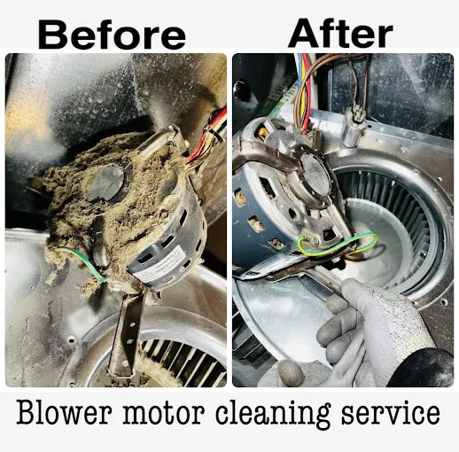 Slide of MVM Home Service