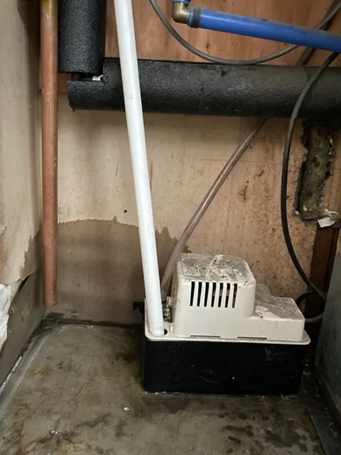 Slide of My Buddy The Plumber, Electric, Heating & Air