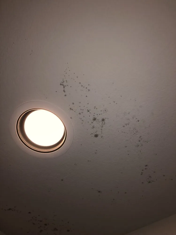 Slide of My Consultant