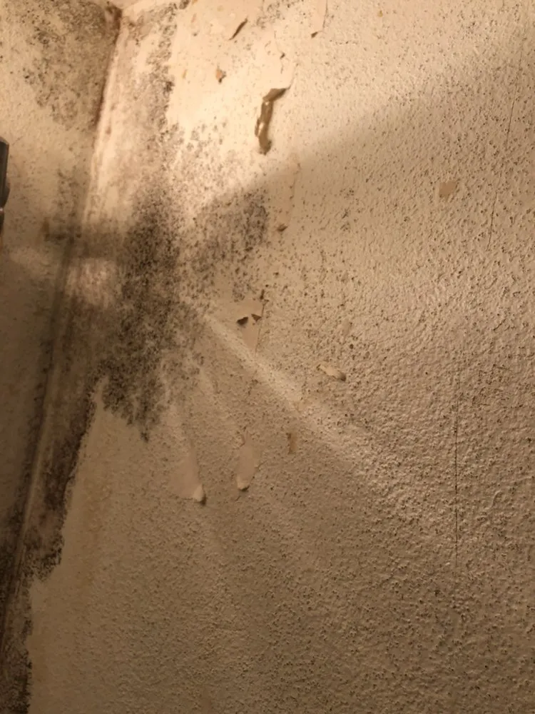 Slide of My Consultant