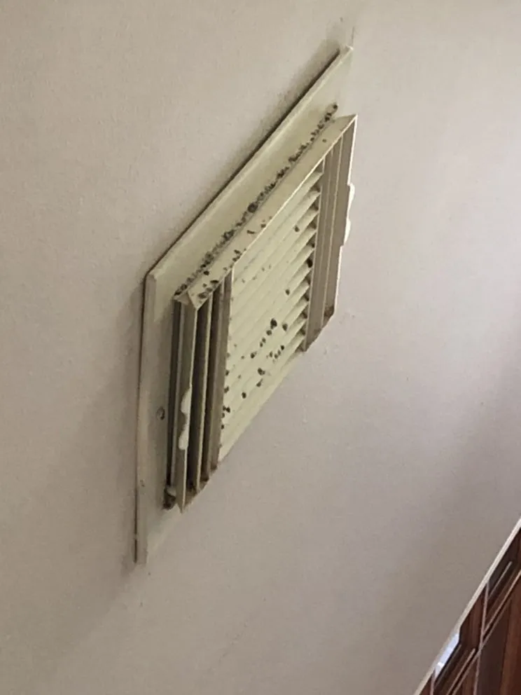 Slide of My Consultant