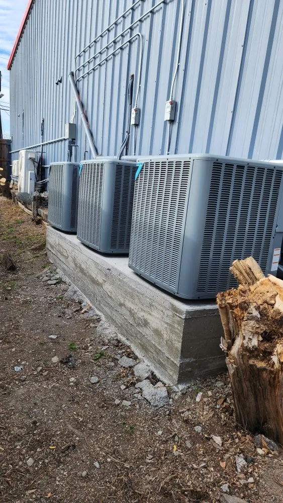 Slide of My Father's Mechanical