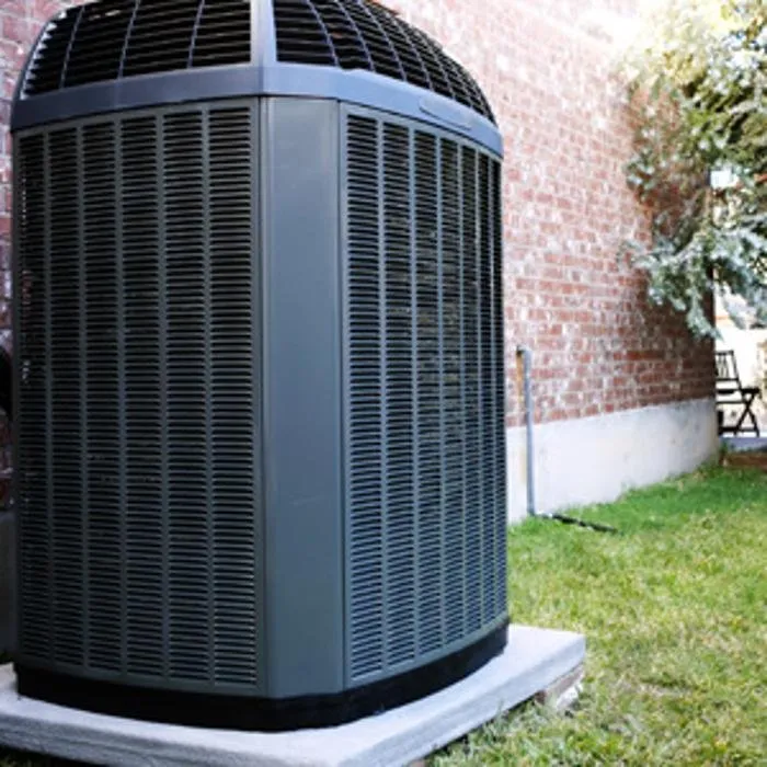 Slide of My Honey Can Do