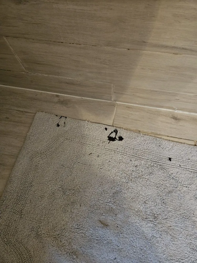 Slide of My Plumber Plus