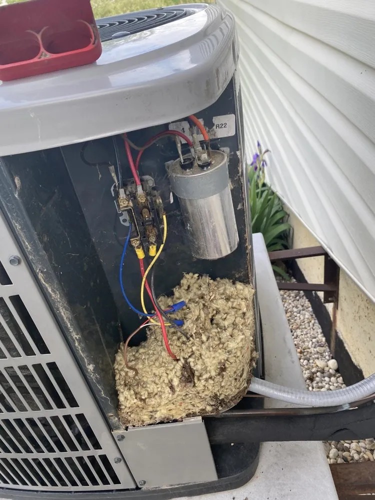 Slide of N-Case Heating and Cooling