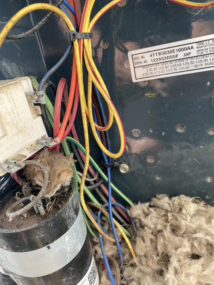 Slide of N-Case Heating and Cooling