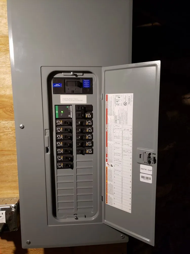 Slide of Nalaschi Electric