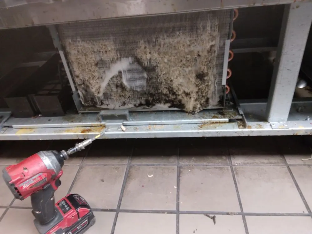 Slide of Nando Services