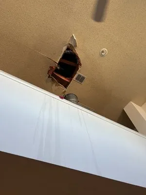 Nasa Mechanical Logo