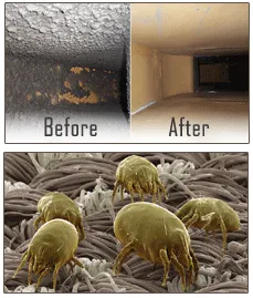 Slide of National Duct Cleaning
