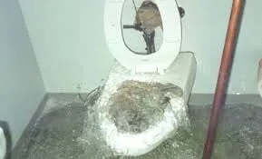 Slide of National Plumbing Heating and Cooling