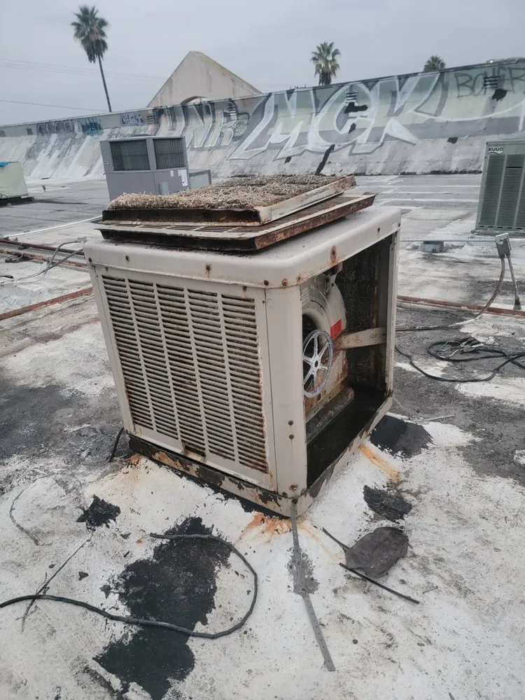 Slide of Natural Air