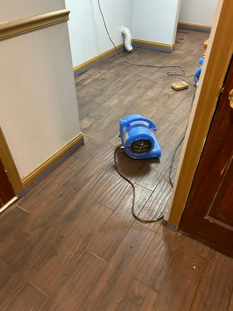 Slide of Nature-Works