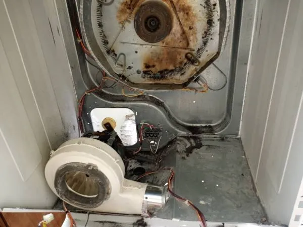 Slide of Navy Lion Group