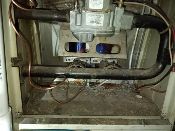 Slide of Navy Lion Group