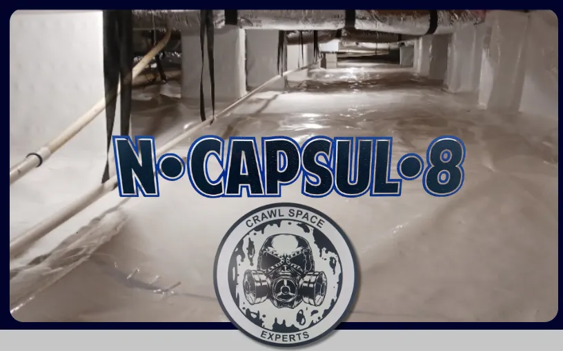 Slide of Ncapsul8