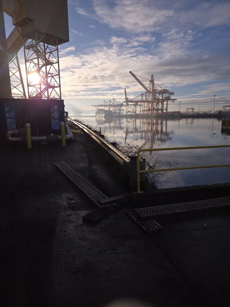 Slide of Need Electric