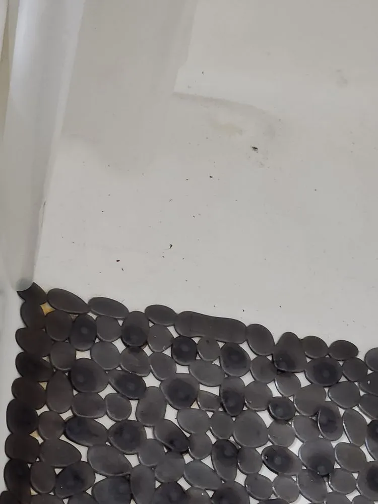 Slide of Neffsville Plumbing & Heating Services