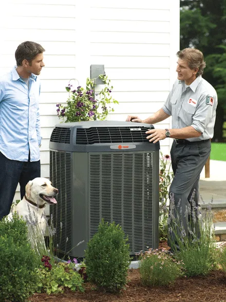 Slide of Nelson Air Conditioning Heating & Air Purifiers