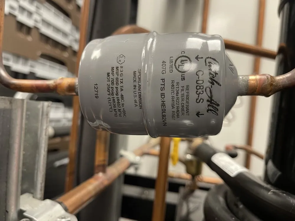 Slide of Nelson Carrillo