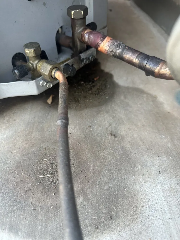 Slide of Nest Pro Az