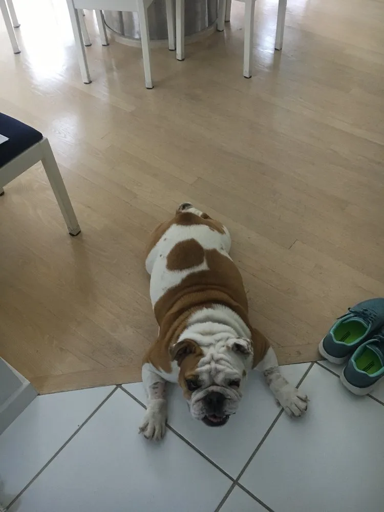 Slide of New England Service Company