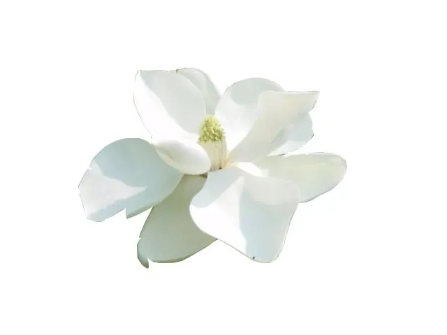 Slide of New Jersey Water Heaters