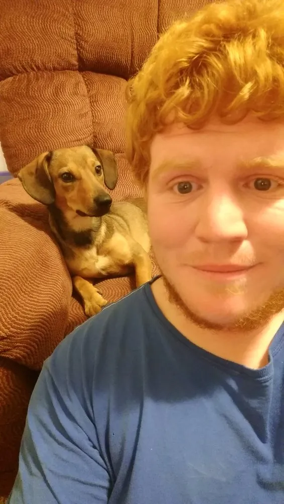 Slide of New Systems HVAC