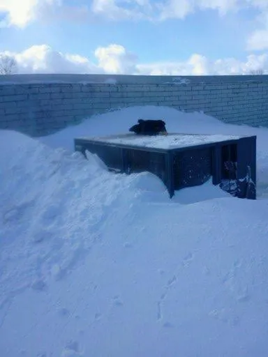 Slide of Newair Technologies