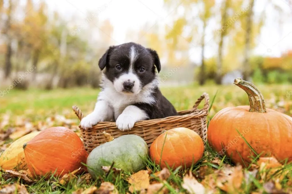 Slide of Newmans Heating & Air Conditioning