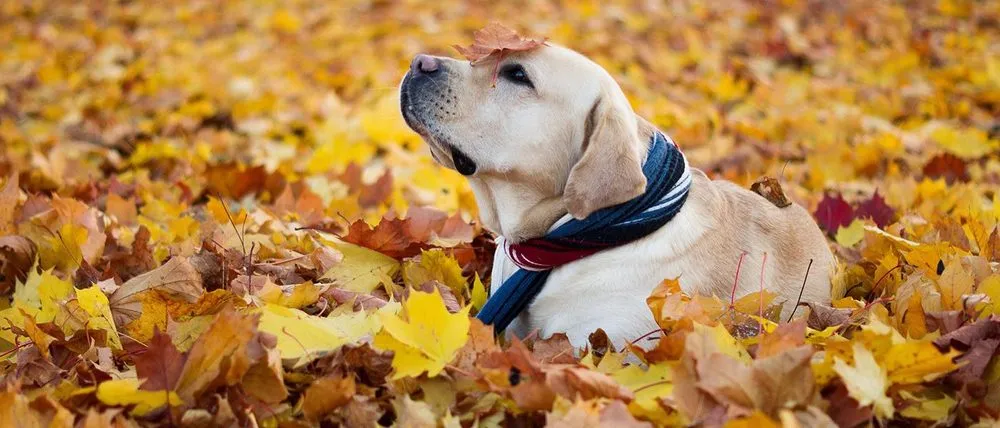 Slide of Newmans Heating & Air Conditioning