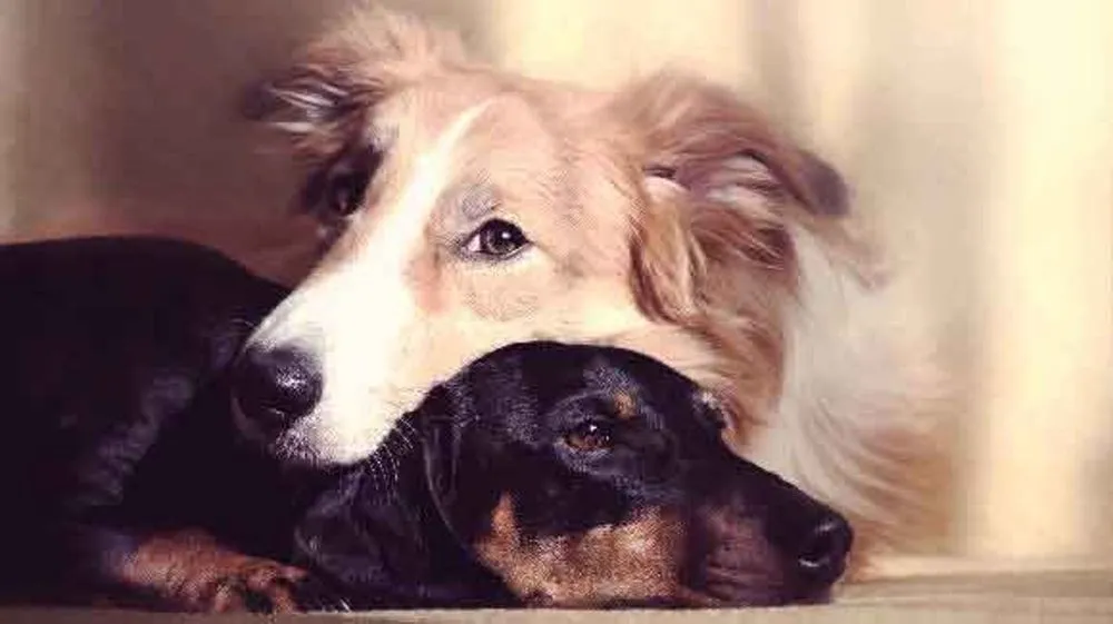 Slide of Newmans Heating & Air Conditioning