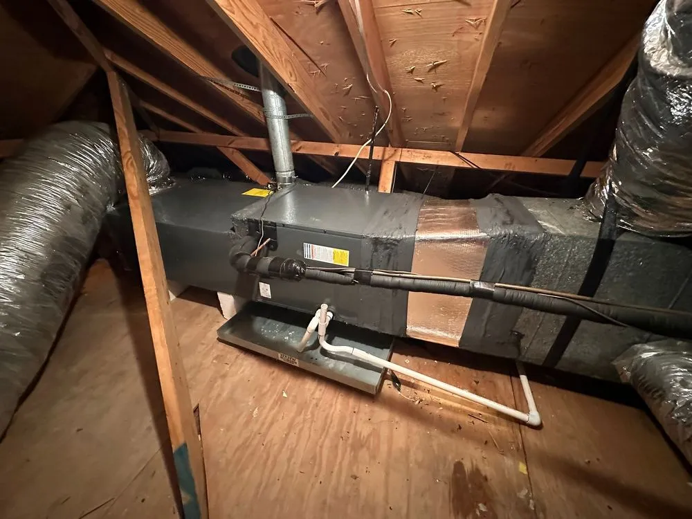 Slide of Nexus Vision