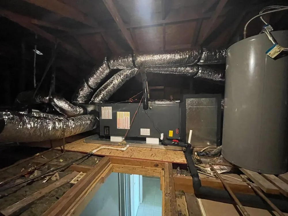 Slide of Nexus Vision