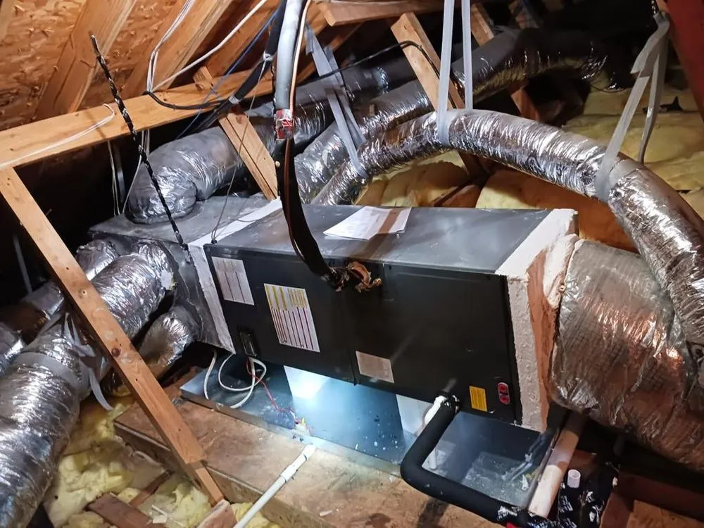 Slide of Nexus Vision