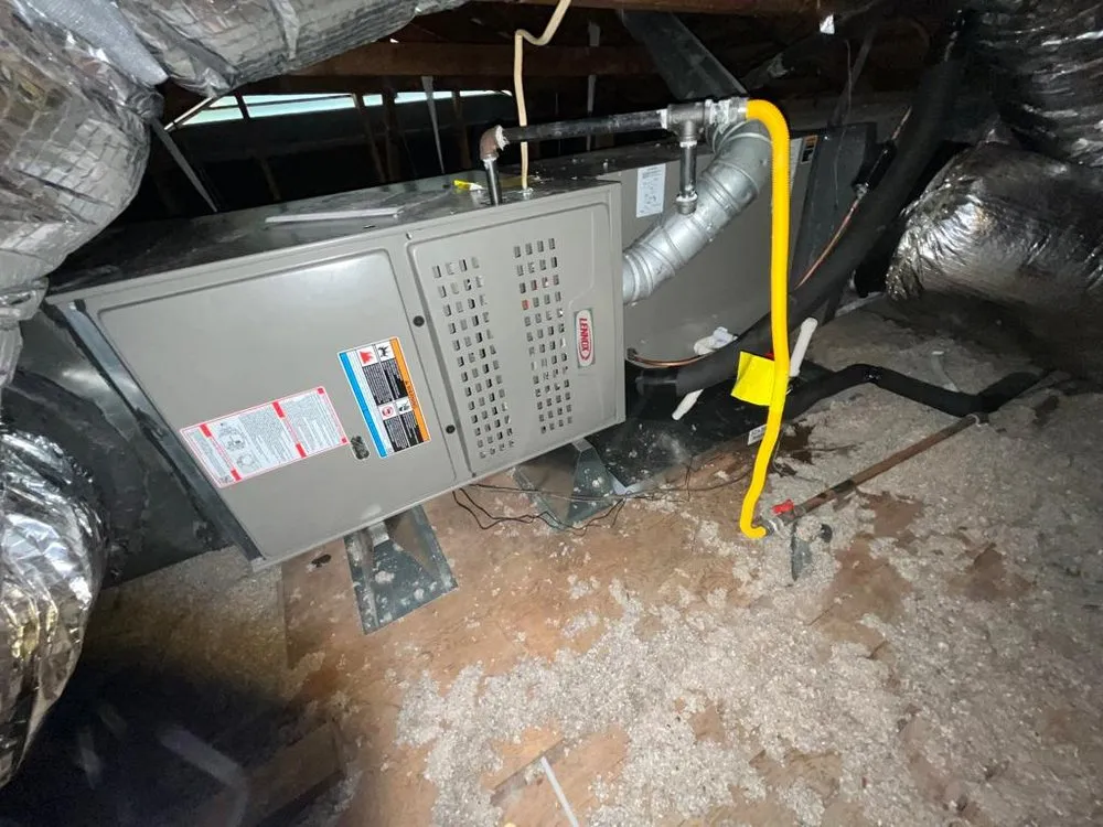 Slide of Nexus Vision