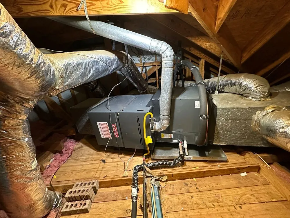 Slide of Nexus Vision