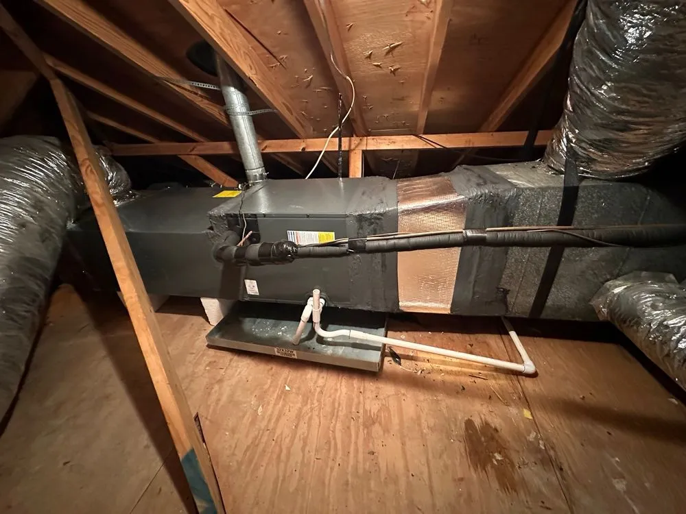 Slide of Nexus Vision