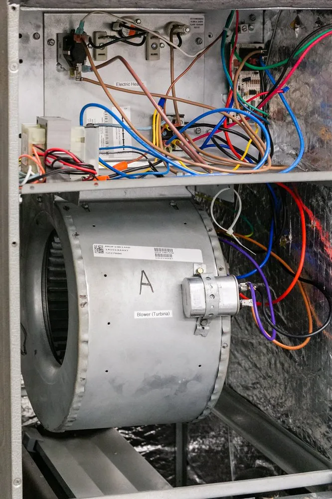 Slide of NGEN Services